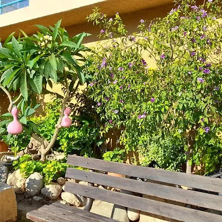 Apartament Apartment1 *